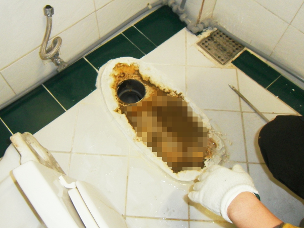 화장실 변기 물이 잘 안 내려가요. 도와주세요 : 네이버 블로그