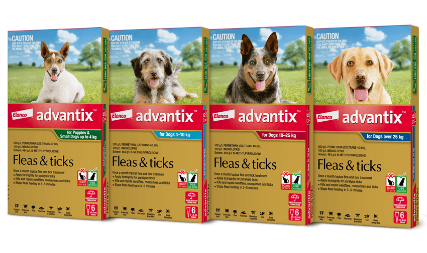 How Soon Can I Safely Bathe My Dog After Applying Advantix?