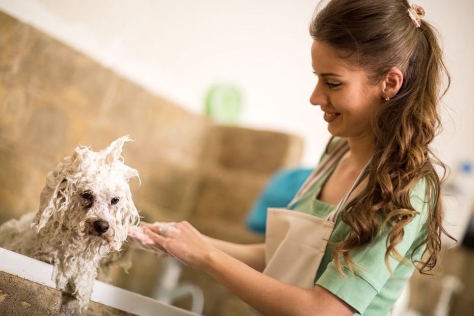 Tips For Grooming Your Dog During Coronavirus