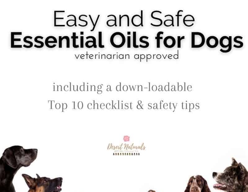 Top 10 Safe Essential Oils For Dogs