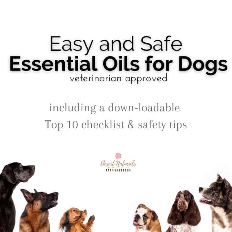 Top 10 Safe Essential Oils For Dogs
