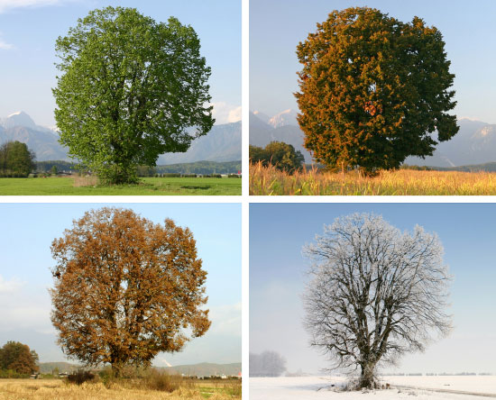 When Does Autumn Start? Defining Seasons | Official Blog Of The Met Office  News Team