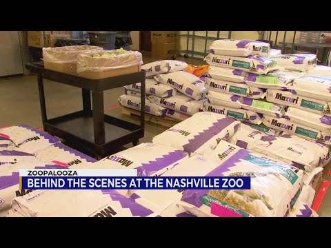 How Nashville Zoo prepares food for thousands of animals