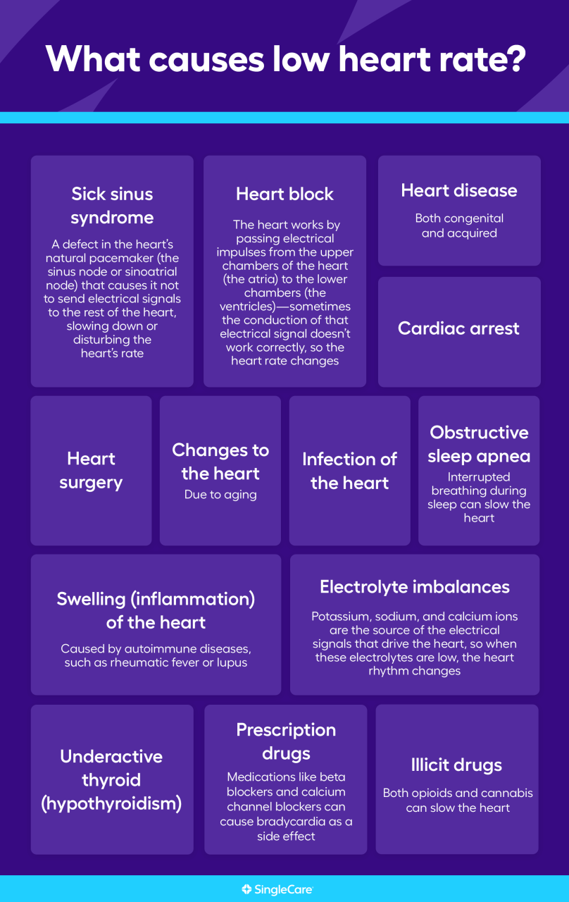 What Does A Low Pulse Rate Indicate Key Insights And Implications