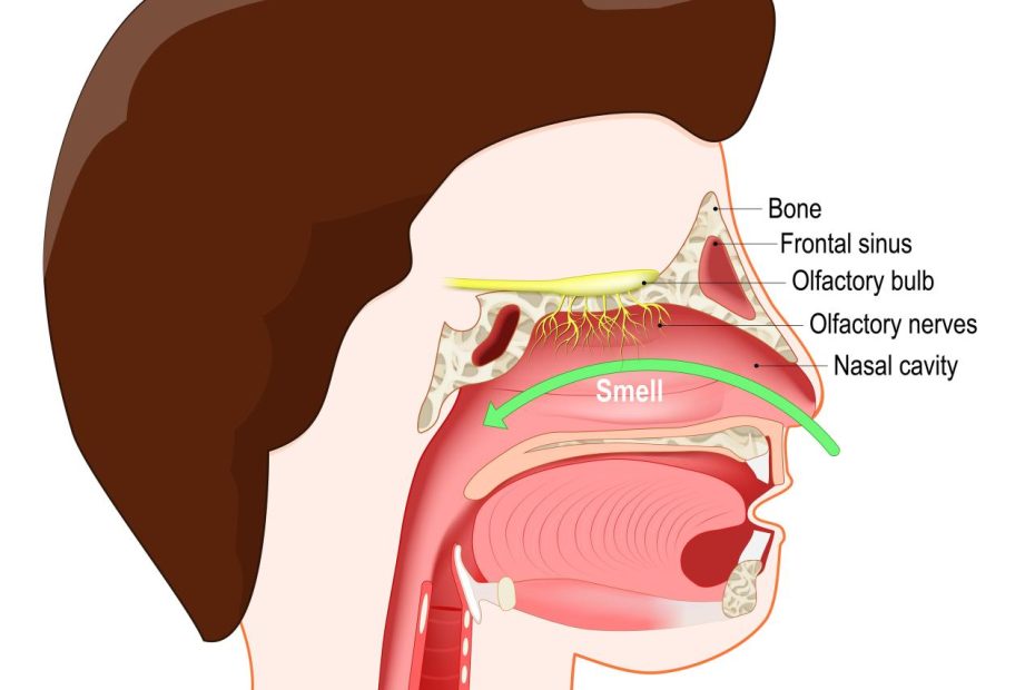 What Can Ruin Your Taste Buds: Avoid These Culprits!