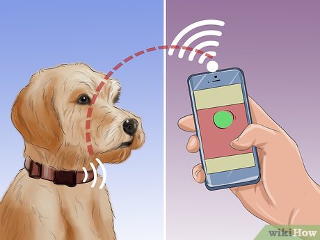3 Ways To Track A Pet With A Microchip - Wikihow