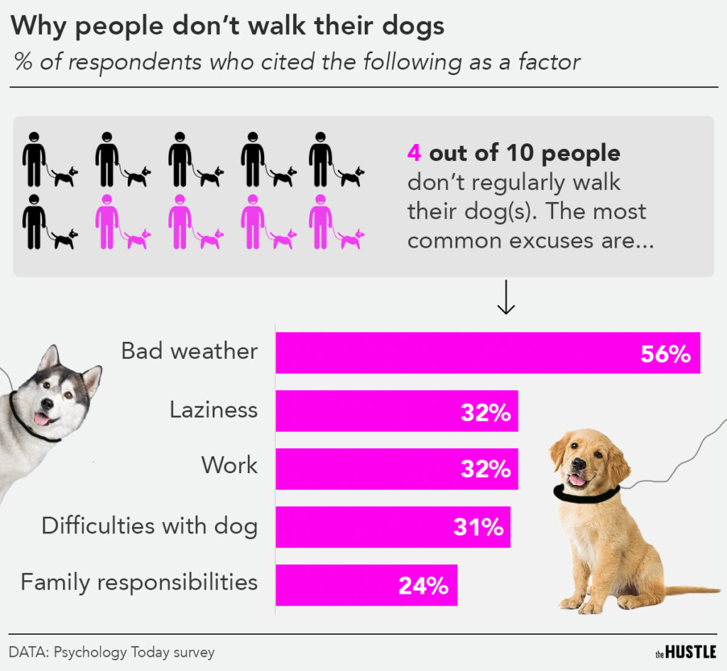 question-how-much-do-people-charge-for-dog-walking